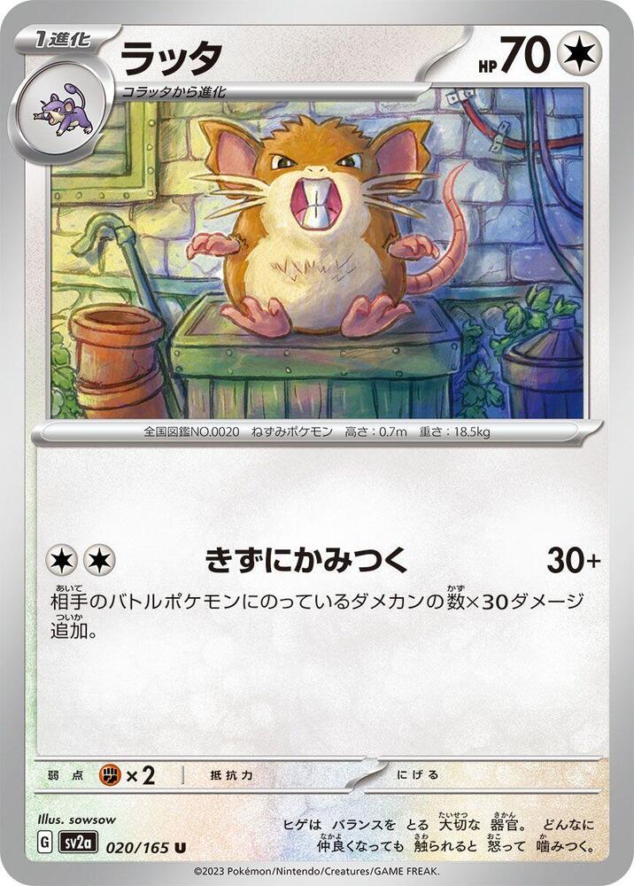 Raticate- SV2a: Pokemon Card 151 (SV2a)