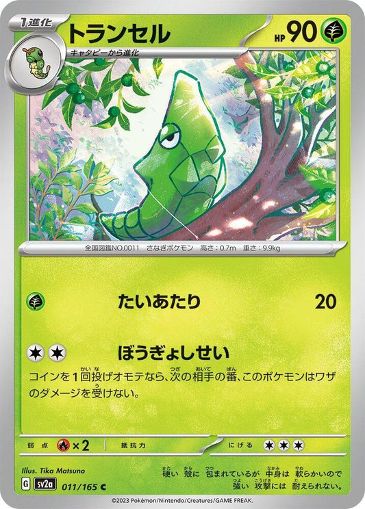 Metapod- SV2a: Pokemon Card 151 (SV2a)