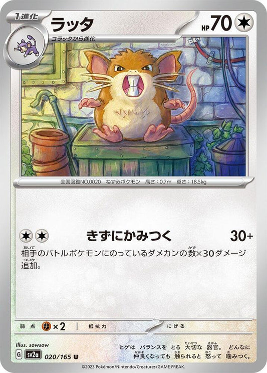 Raticate- SV2a: Pokemon Card 151 (SV2a)